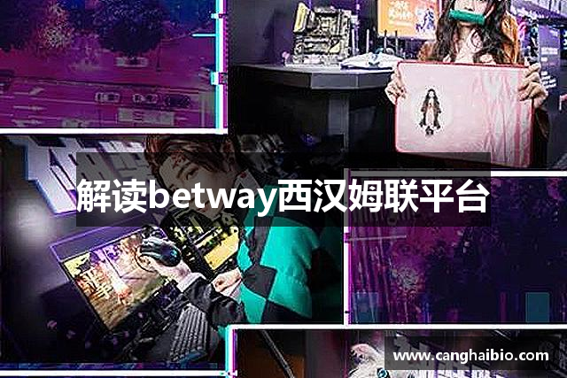 解读betway西汉姆联平台